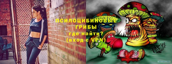 ALPHA PVP Алексин