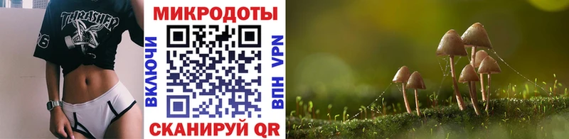 Псилоцибиновые грибы Psilocybine cubensis  Павловская 