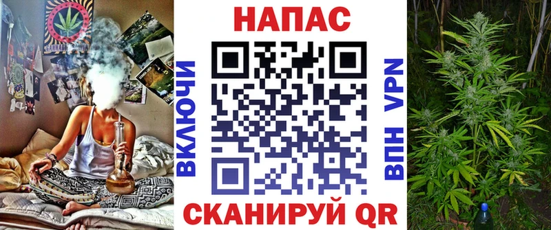 Шишки марихуана White Widow  KRAKEN   Павловская 